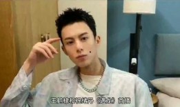 王鹤棣爆料东风视频播放,王鹤棣揭秘东风视频播放幕后故事