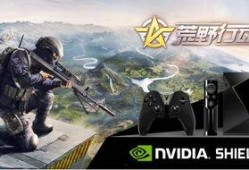 荒野行动爆料皮肤最新视频,炫酷特效，视觉盛宴来袭！