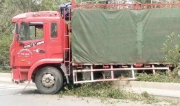 西安大货车最新爆料视频,现场实况直击，揭秘事件真相