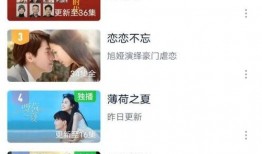 26年高清视频在线观看,重温经典，畅享视听盛宴