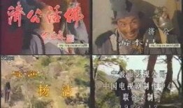 在线观看98济公电视剧,笑傲江湖，传奇再现