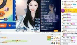 小元宵被爆料视频大全集,揭秘背后真相与争议