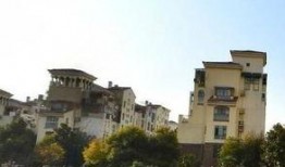 太仓浮桥镇爆料案件最新,案情揭秘，真相渐浮水面