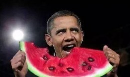 老婆儿子淡定吃瓜视频免费观看,老婆儿子淡定吃瓜，免费观看视频分享