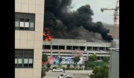 台州爆料最新,最新热点事件追踪，揭秘背后真相