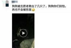 徐州直播爆料事件视频最新,真相与争议再掀波澜