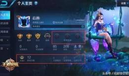 王者西风爆料最新消息,神秘英雄即将登场，游戏格局再掀风云