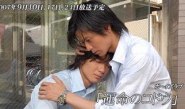 恋爱诊断在线观看