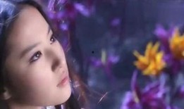 爆料天台女海王视频大全,视频大全背后的情感纠葛