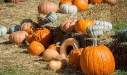 云南吃瓜事件网红是谁,揭秘网红背后的真相